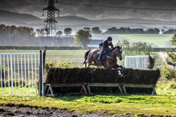 grass-fences