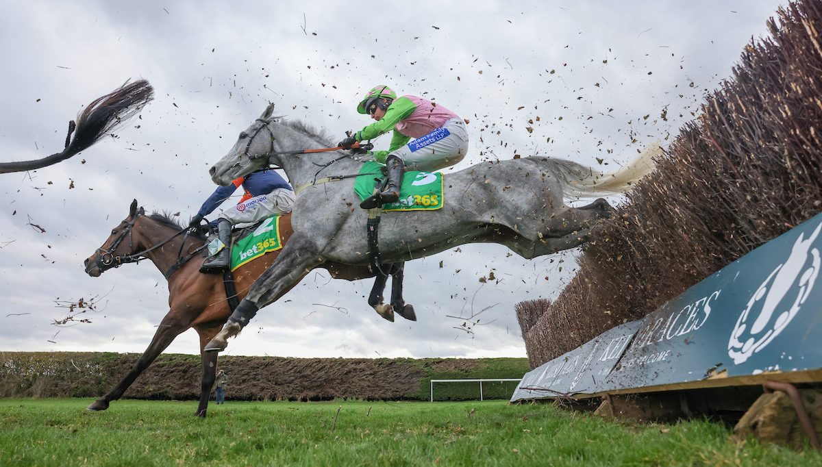 Sandy Thomson Racing – Racehorse Trainer at Lambden Farm